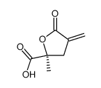 2-Furancarboxylicacid,tetrahydro-2-methyl-4-methylene-5-oxo-,(2S)-(9CI)结构式