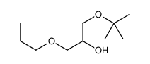 1-[(2-methylpropan-2-yl)oxy]-3-propoxypropan-2-ol Structure