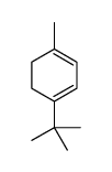 1-tert-butyl-4-methylcyclohexa-1,3-diene结构式