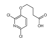 4-(2,6-dichloropyridin-3-yl)oxybutanoic acid Structure