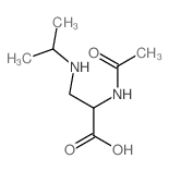 2-acetamido-3-(propan-2-ylamino)propanoic acid结构式