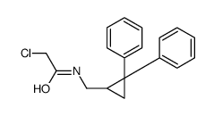 2-chloro-N-[(2,2-diphenylcyclopropyl)methyl]acetamide结构式