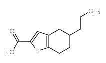 667436-13-7 structure