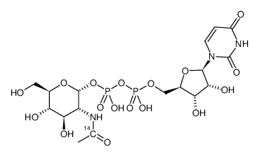 uridine diphosphate n-acetyl-d-glucosamine, [acetyl-1-14c]结构式