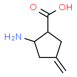 Cyclopentanecarboxylic acid, 2-amino-4-methylene-, (1S,2S)- (9CI) structure