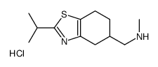 N-methyl-1-(2-propan-2-yl-4,5,6,7-tetrahydro-1,3-benzothiazol-5-yl)methanamine,hydrochloride Structure