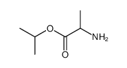 D-Alanine, 1-methylethyl ester (9CI) picture