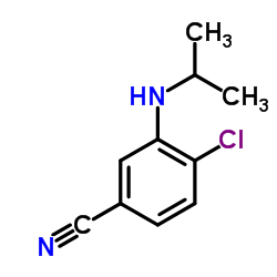 4-Chloro-3-(isopropylamino)benzonitrile Structure