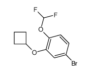 4-溴-2-环丁氧基-1-(二氟甲氧基)苯结构式