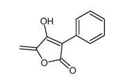 4-hydroxy-5-methylene-3-phenylfuran-2(5H)-one Structure