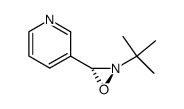 3-((2R,3R)-2-tert-Butyl-oxaziridin-3-yl)-pyridine Structure