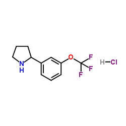 2-[3-(Trifluoromethoxy)phenyl]pyrrolidine hydrochloride结构式