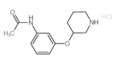 N-[3-(3-Piperidinyloxy)phenyl]acetamide hydrochloride结构式