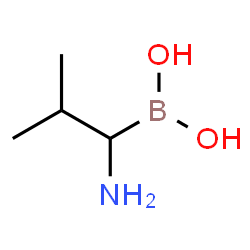 (1-Amino-2-methylpropyl)boronic acid Structure