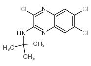 2-(N-叔丁基氨基)-3,6,7-三氯喹喔啉结构式