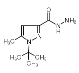 1-(叔丁基)-5-甲基-1H- 吡唑-3-碳酰肼结构式