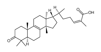 24Z-isomasticadienonic acid Structure