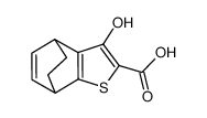 3-hydroxy-4,7-dihydro-4,7-ethanobenzo[b]thiophene-2-carboxylic acid结构式