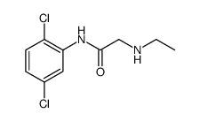 Acetamide, N-(2,5-dichlorophenyl)-2-(ethylamino)结构式