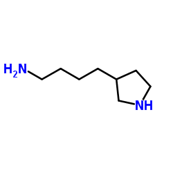 4-(3-Pyrrolidinyl)-1-butanamine Structure