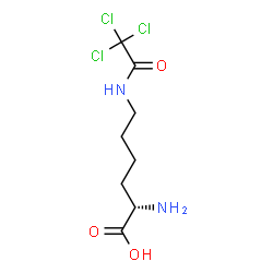 N(epsilon)-(trichloroacetyl)lysine Structure