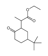 ethyl 5-(1,1-dimethylethyl)-alpha-methyl-2-oxocyclohexaneacetate Structure