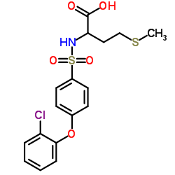 N-[4-(2-Chlorophenoxy)phenylsulfonyl]-S-Methylhomocysteine structure