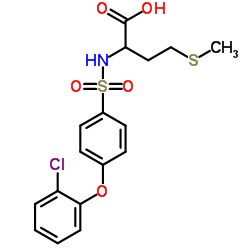 N-[4-(2-Chlorophenoxy)phenylsulfonyl]-S-Methylhomocysteine Structure