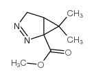 2,3-Diazabicyclo[3.1.0]hex-2-ene-1-carboxylicacid,6,6-dimethyl-,methylester(9CI) picture