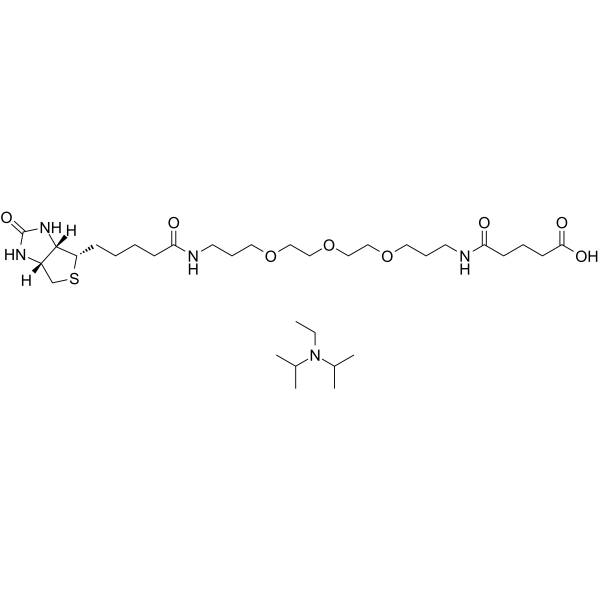 Biotinyl-NH-PEG3-C3-amido-C3-COOH (DIPEA) Structure