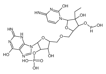 poly(deoxyguanosyl-5-ethyldeoxycytidine) structure