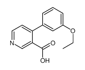 4-(3-ethoxyphenyl)pyridine-3-carboxylic acid Structure