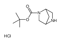 (1R,4R)-tert-Butyl 2,5-diazabicyclo[2.2.1]heptane-2-carboxylate hydrochloride结构式