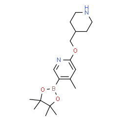 4-Methyl-2-(piperidin-4-ylmethoxy)-5-(4,4,5,5-tetramethyl-1,3,2-dioxaborolan-2-yl)pyridine结构式