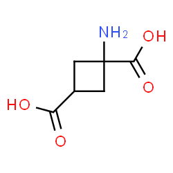 1,3-Cyclobutanedicarboxylicacid,1-amino-(9CI) picture