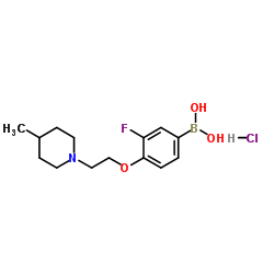 (3-fluoro-4-(2-(4-Methylpiperidin-1-yl)ethoxy)phenyl)boronic acid hydrochloride structure