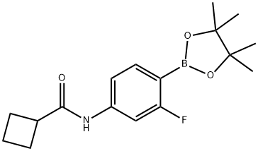 N-[3-fluoro-4-(4,4,5,5-tetramethyl-1,3,2-dioxaborolan-2-yl)phenyl]cyclobutanecarboxamide Structure