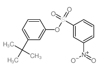 Benzenesulfonic acid,3-nitro-, 3-(1,1-dimethylethyl)phenyl ester structure