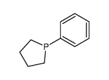 1-phenylphospholane Structure