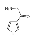 3-thiophenecarboxylic acid hydrazide Structure