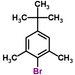 2-溴-5-叔丁基-1,3-二甲苯结构式