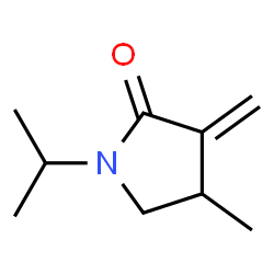 2-Pyrrolidinone,4-methyl-3-methylene-1-(1-methylethyl)-(9CI) structure