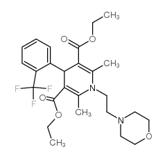 Flordipine picture