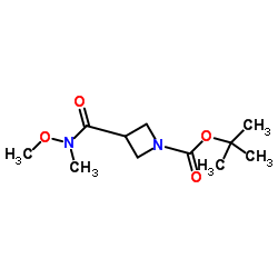 tert-butyl 3-[methoxy(methyl)carbamoyl]azetidine-1-carboxylate picture