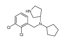 (3S)-N-cyclopentyl-N-[(2,3-dichlorophenyl)methyl]pyrrolidin-3-amine Structure