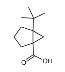 1-tert-butylbicyclo[3.1.0]hexane-5-carboxylic acid结构式