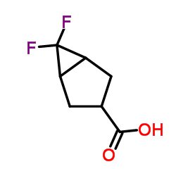 6,6-difluorobicyclo[3.1.0]hexane-3-carboxylic acid picture