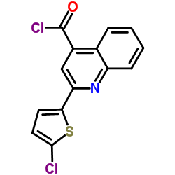 2-(5-Chloro-2-thienyl)-4-quinolinecarbonyl chloride结构式