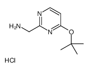 [4-[(2-methylpropan-2-yl)oxy]pyrimidin-2-yl]methanamine,hydrochloride Structure