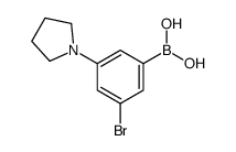 3-溴-5-吡咯烷o苯硼酸结构式